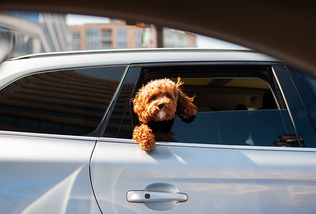 Voordelen en mogelijkheden van Volvo financial lease: Een diepgaande blik